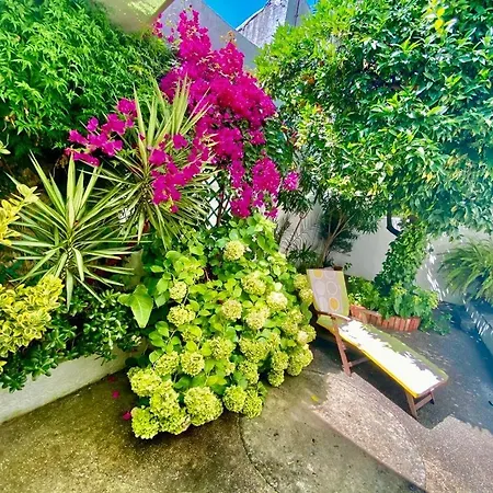 Patio Da Laranjeira *