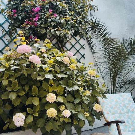 Patio Da Laranjeira Apartment