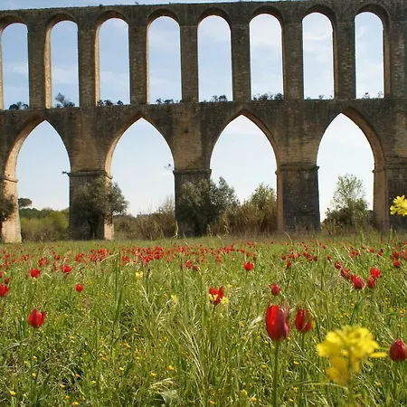 Patio Da Laranjeira *