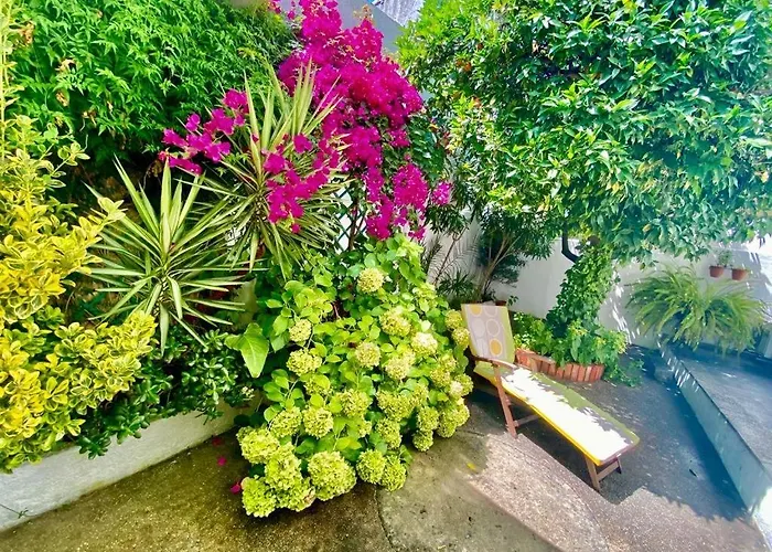 Patio Da Laranjeira *
