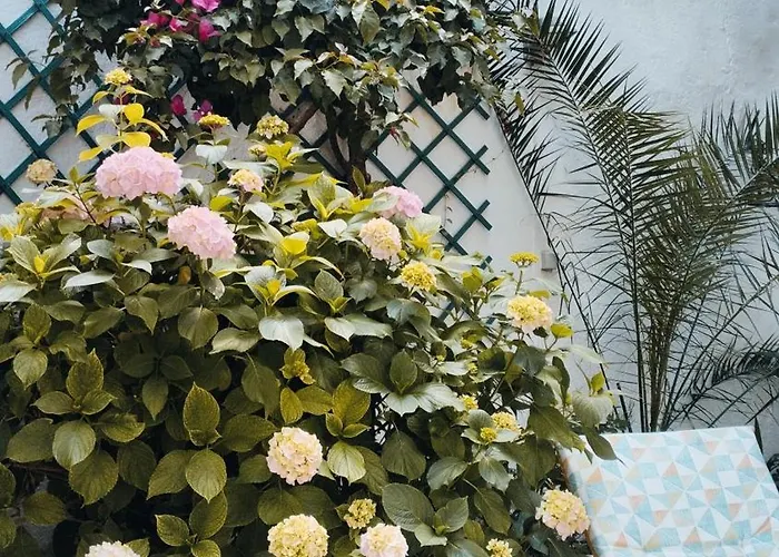 Patio Da Laranjeira דירה