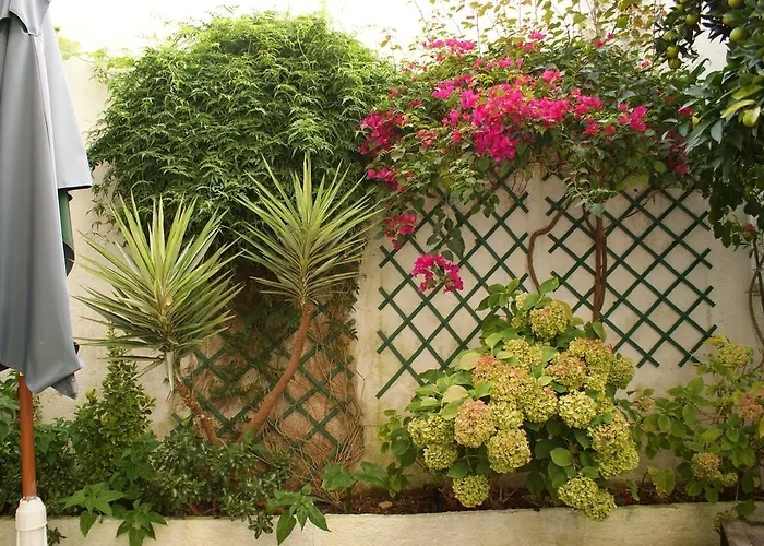 Patio Da Laranjeira טומאר